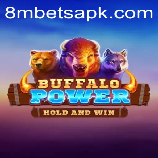 8MBets Casino App