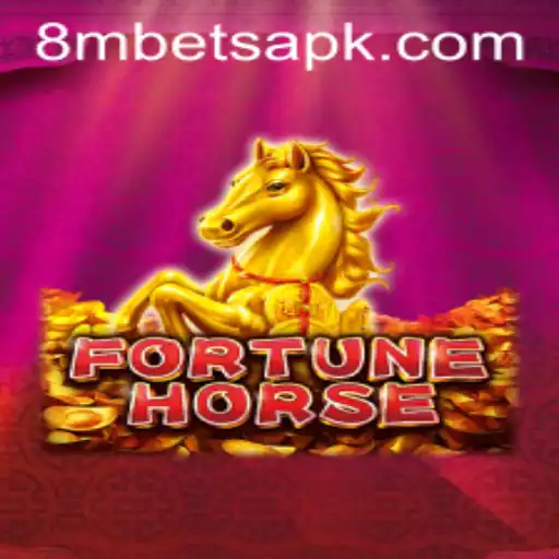 8MBets Casino App